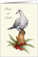 Christmas Religious with Dove and Pine Branches and Berries Art card
