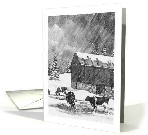Any Occasion Blank Inside with Holstein Cows and Barn in... (1722816)