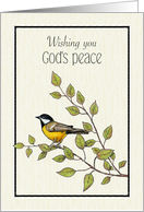 Thinking of You Religious Wishing You God’s Peace with Bird and Leaves card