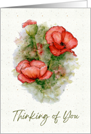 Thinking of You General with Watercolor Poppy Flowers Art card