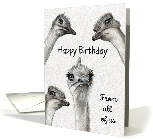 Happy Birthday From All of Us with Ostriches Illustration Humor card
