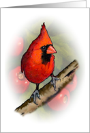 All Occasion With Artwork of Red Cardinal Bird Wildlife Illustration card