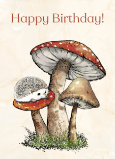 Happy Birthday For Child With Hedgehog and Toadstools Illustration