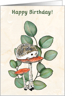 Happy Birthday For Child With Hedgehog Toadstools Eucalyptus Leaves card