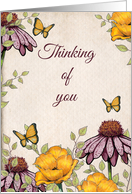 Thinking of You General with Cone Flowers and Yellow Poppies Art card