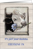 For Son or Daughter Cow Just Momma Checking In Humor card