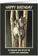 Squirrel in Tree Happy Birthday To Husband A Little Nutty Humor card