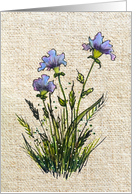 All Occasion Blue Wildflowers on Burlap Look Background card