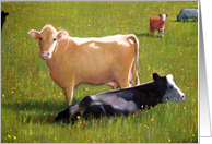 Any Occasion Pastel Painting of Cows in Pasture Farm Country Life card
