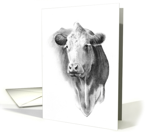Cow Portrait in Pencil Blank Inside Farm Animal Country Life card