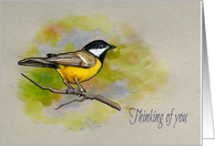 Thinking of You General Encouragement with Bird on Branch Art card