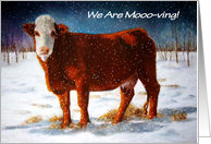 Moving Announcement With Beef Cow We Are Mooo-ving Painting card