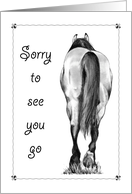 Sorry To See You Go Good Bye Drawing of Horse Walking Away card