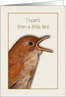 Congratulations, Pregnancy, New Baby on the Way, Birdie Told Me card