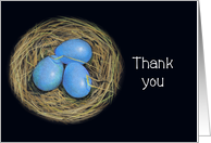 Hospitality Thank You Sharing Your Nest Blue Bird Eggs Illustration card