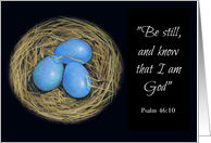 Religious, Any Occasion, Know That I Am God, Robin Eggs in Nest, Art card