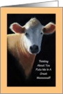 Cow in Pastel: Anniversary to Spouse! Great Mooood! card