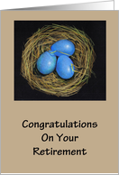Congratulations on Retirement: Nest Egg: Bird’s Nest Artwork card
