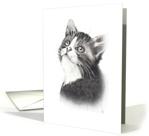 Any Occasion Blank Inside Cute Kitten Looking Up, Pencil Drawing card