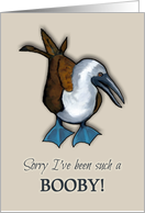 Apology: Sorry I’ve Been Such A Booby: Booby Bird In Pastel card
