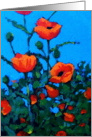 Bright Red Poppies: Painting: Blank Note Card