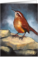 Carolina Wren: Wildlife Art, Blank Inside card