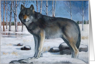 Lone Grey Wolf in Snow, Wildlife Painting, No Words card