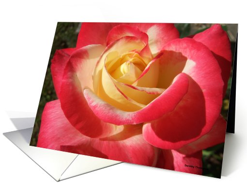 June Birthday Flower - The Rose card (163231)