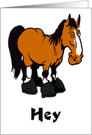 Don’t Ask pony hey card