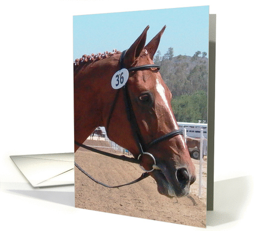 horse head with english bridle card (202136)