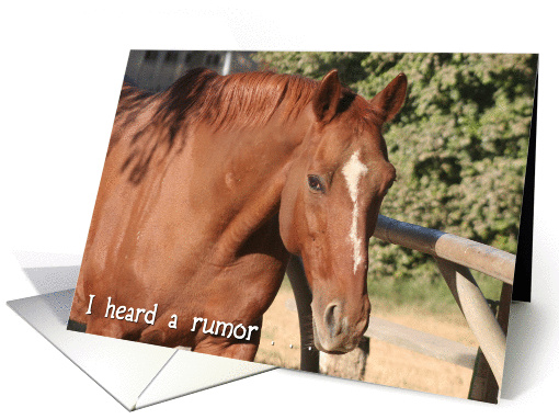 horse front photo card (202142)