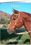 horse head western bridle card