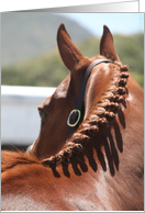 horse head with braided mane card