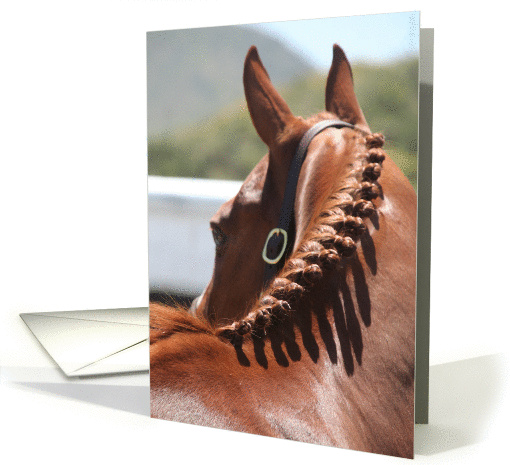 horse with braided mane card (202158)