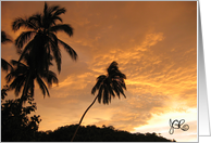 palm trees at sunset - blank card