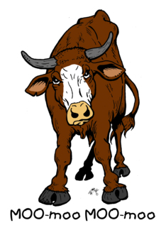 cartoon of steer