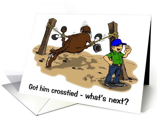 cartoon of horse crosstied card (205864)