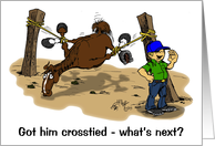 cartoon of horse crosstied card