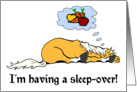 cartoon horse sleeping and dreaming card
