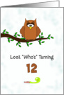 Birthday Greeting Card for Twelve Year Old-12th Birthday-Owl-Branch card