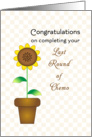 Last Round of Chemotherapy Card with Sunflower in Flower Pot card