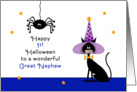 For Great Nephew First Halloween Card with Spider and Black Cat card