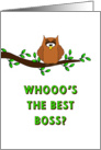 For Boss - Boss’s Day Card-Owl Sitting on Tree Branch card