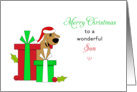 For Son Christmas Card-Brown Dog-Santa Hat-Christmas Presents card