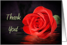 Red Rose Thank You Greeting Card with Reflection of Rose card