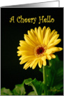 A Cheery Hello Greeting Card with a Yellow Gerbera Daisy card