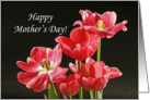 Happy Mother’s Day Greeting Card with Pink Tulips card