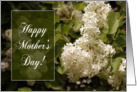 Happy Mother’s Day Greeting Card - White Lilacs card