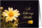 Cheery Hello Greeting Card with Yellow Daisies card