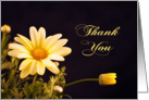 Thank You Card with Yellow Daisies card